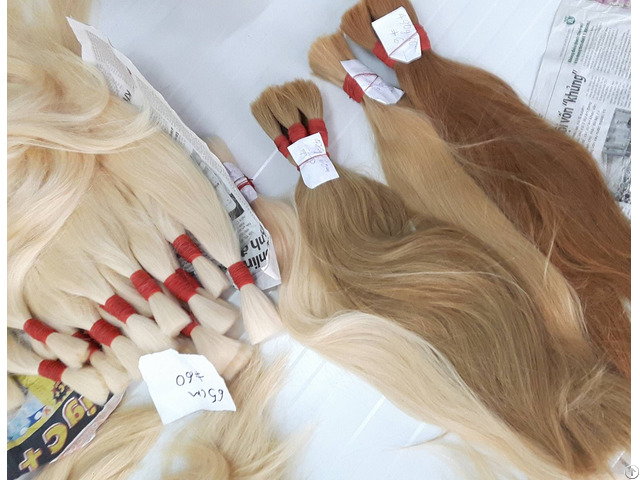 Human Hair Full Color Best Wholesale Price