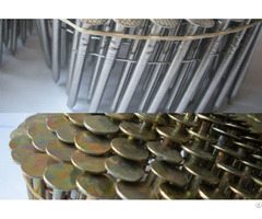 Conical Collated Nails Coil