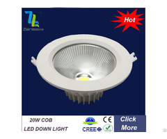 Zenlea 20w Cob Ceiling Light