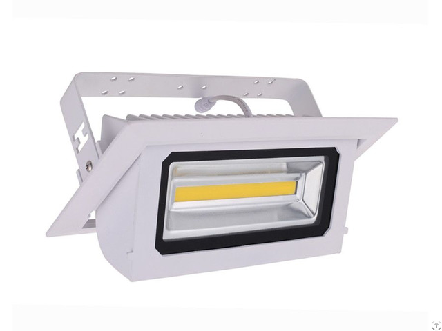 Zenlea 30w Led Projection Light