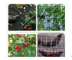 Nylon Shade Mesh Bird Netting