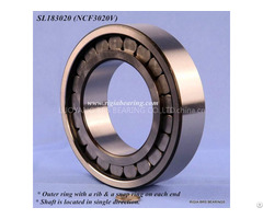 Sl183010 Bearing Ncf3010v For Heavy Machines