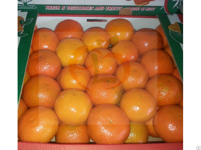 Mandarin Fremont