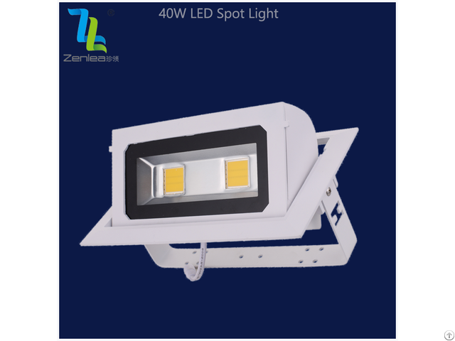 Zenlea 40w Head Moving Led Downlight