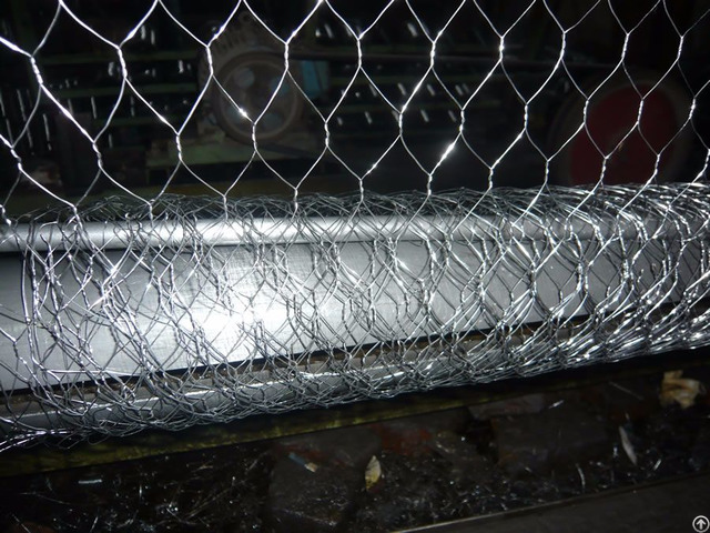 Stainless Steel Rating Chicken Wire Mesh