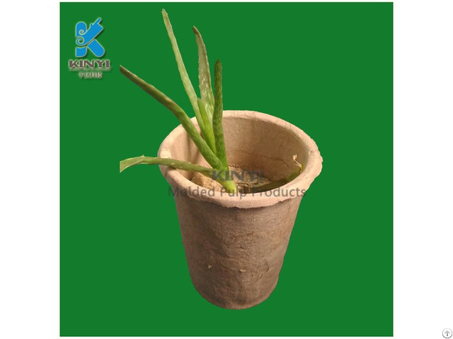 New Style Molding Pulp Paper Flower Pot Transplanter Design