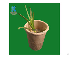 New Style Molding Pulp Paper Flower Pot Transplanter Design