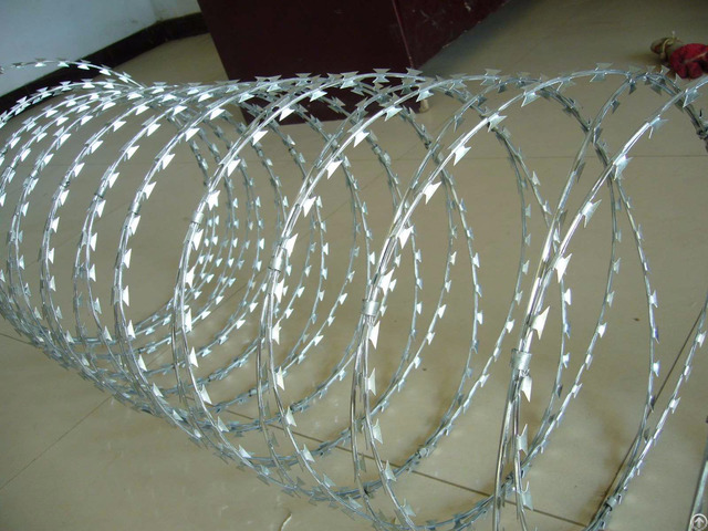 Concertina Coil Wire
