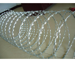 Concertina Coil Wire