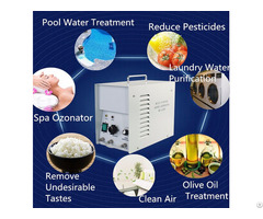 Multi Functional Ozone Generator 1g Fruits And Vegetables Washer Keep Fresh