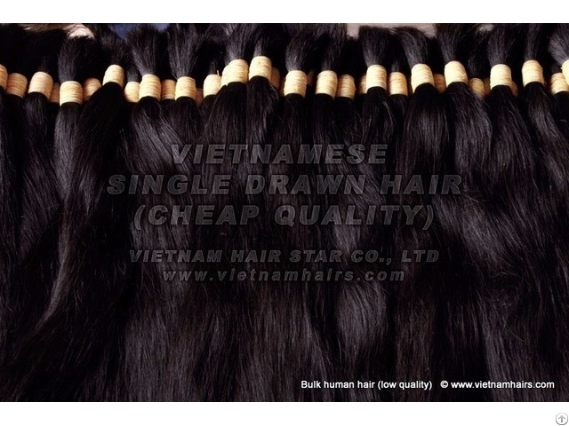 Virgin 100 Human Hair Cheap Wholesale Vietnam