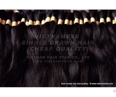 Virgin 100 Human Hair Cheap Wholesale Vietnam