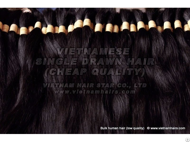 100 Percent Human Hair Wholesale