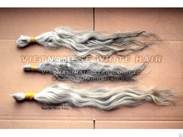 100 Percent Human White Hair Virgin Vietnamese