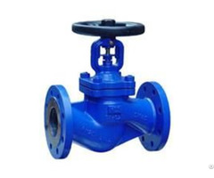 Din Bellow Seal Globe Valve Pn16 Pn25 Pn40 Gs C25 Body