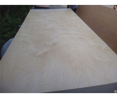Plywood From China