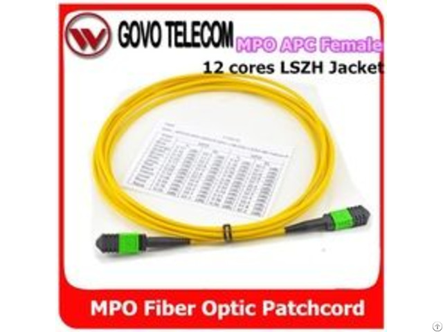 Fiber Optic Patch Cord Mpo Mtp To Om3 Om4 Lc Sm Mm