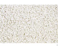 Tapioca Pearl