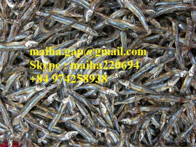 Dried Sprat Anchovy From Vietnam 100 Percent Sun Natural For Sri Lanka