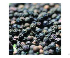 Vietnam Black Pepper