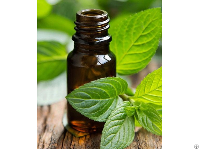 Peppermint Essential Oil