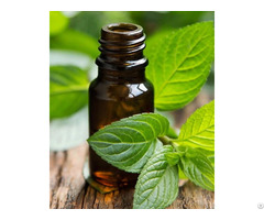 Peppermint Essential Oil