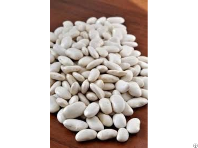 Red And White Kidney Beans