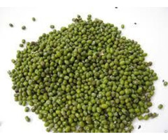 Green Mung Beans