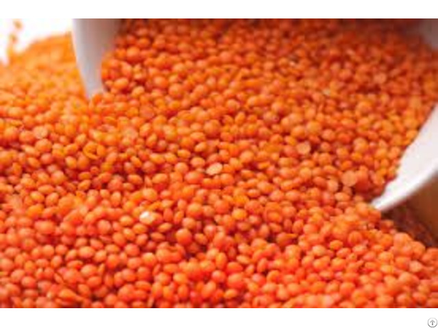 Red Lentils Split And Whole Lentil