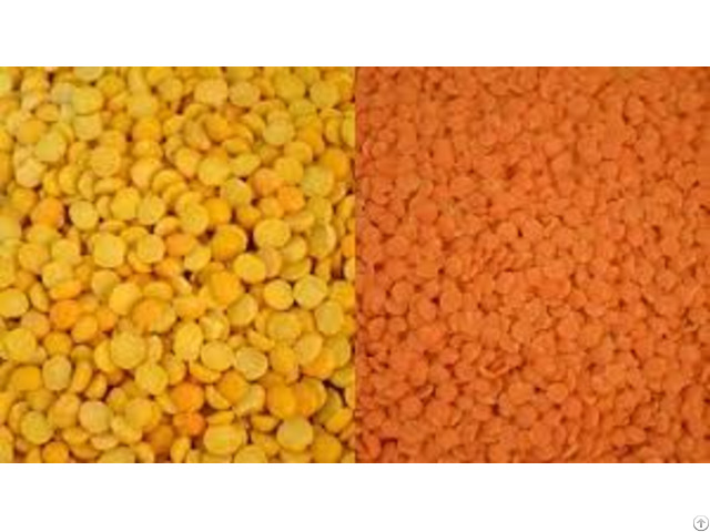 Yellow Lentils Whole And Split Lentil