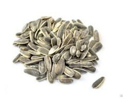 Rapeseeds And Sunflower Seeds