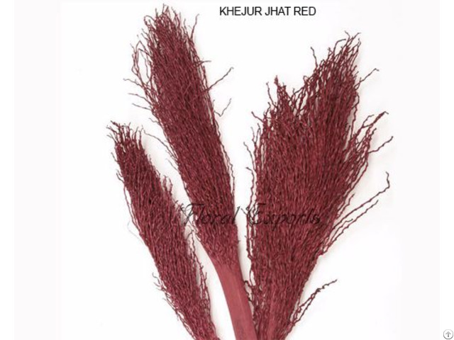 Khejur Jhat Red