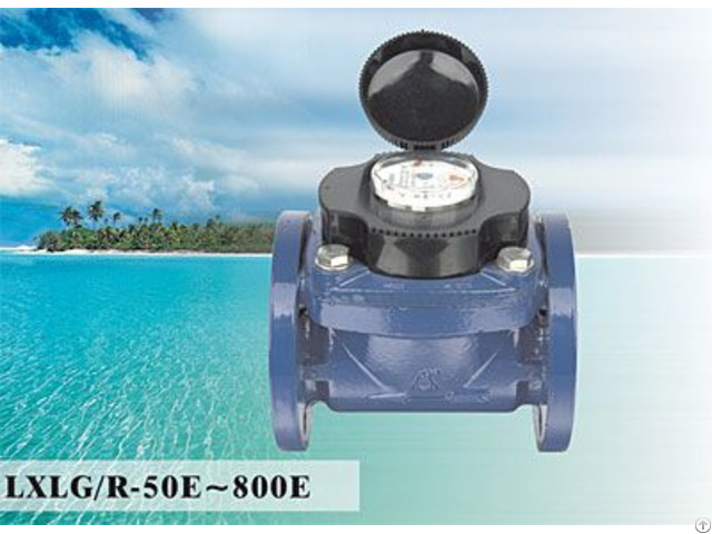 Woltman Detachable Water Meter