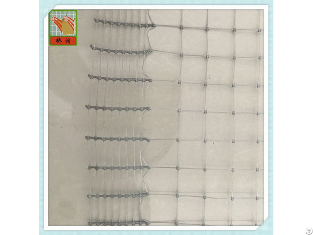 Plastic Chicken Netting Poultry Net From China Factory