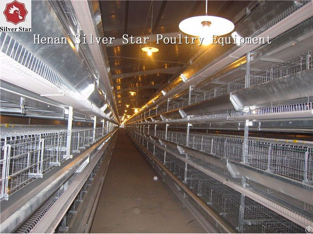 Supply Automatic H Type Vertical Battery Chicken Layer Cage