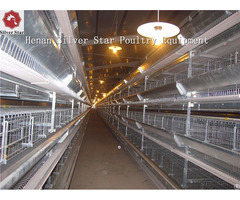 Supply Automatic H Type Vertical Battery Chicken Layer Cage