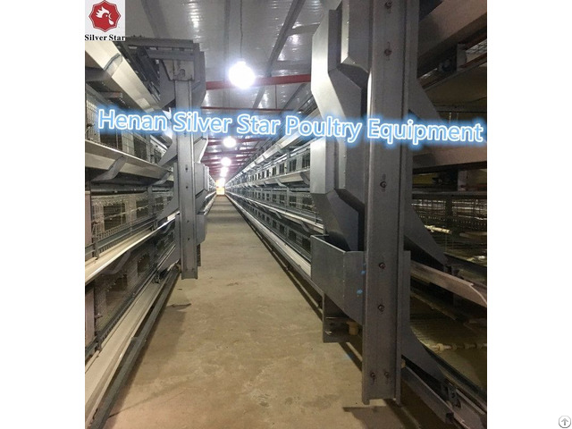 Silver Star Factory Sales Fully Automatic H Type Broiler Chicken Cage Equipments For Poultry Farm