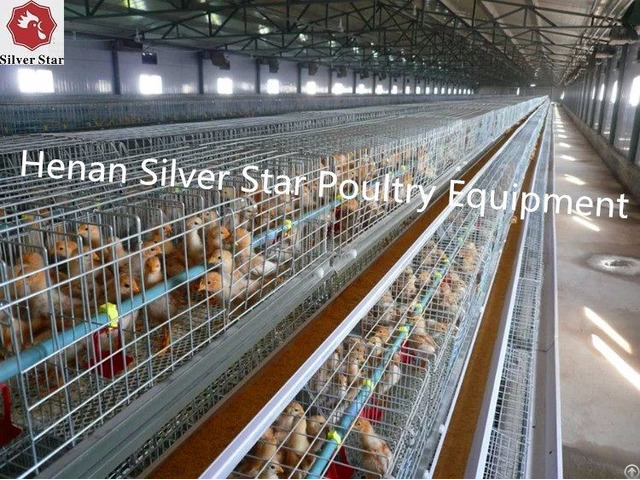 Henan Silver Star Sales Poultry Layer Pullet Rearing Cage For Nigeria Farm