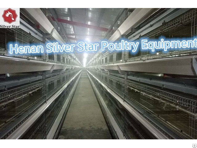 Poultry Farm Design Layout Automatic Chicken Broiler Cage For Sales In Philippines