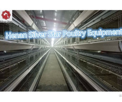 Poultry Farm Design Layout Automatic Chicken Broiler Cage For Sales In Philippines