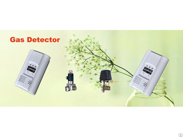 Gas Detector With Solenoid Valve