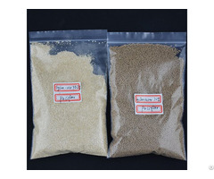 L Lysine Feed Grade