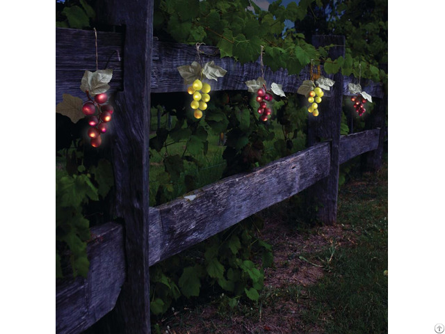 Solar Powered 64 Umbrella Grape Lights Kf84007