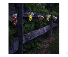 Solar Powered 64 Umbrella Grape Lights Kf84007