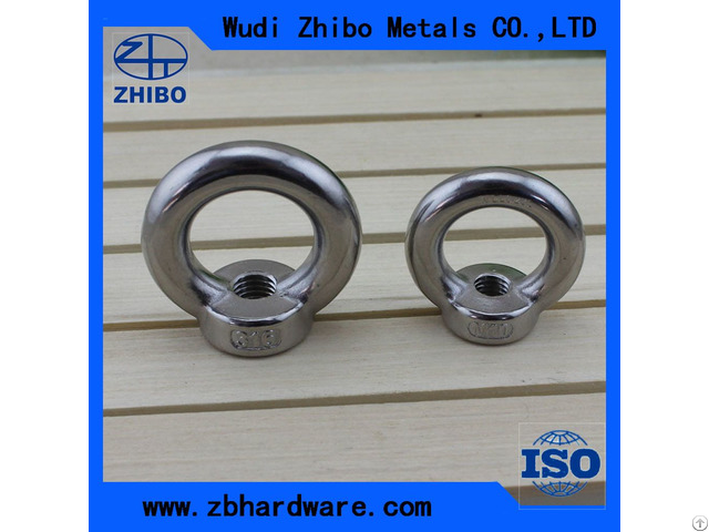 Stainless Steel Long Shank Eye Bolt