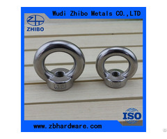 Stainless Steel Long Shank Eye Bolt