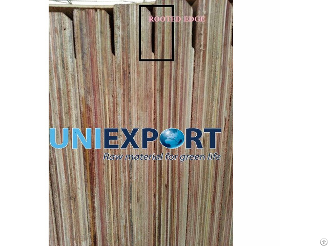 Root Edge Container Flooring Plywood