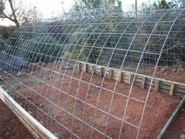 Welded Wire Cattle Panels