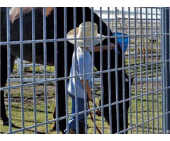 Welded Wire Horse Panels