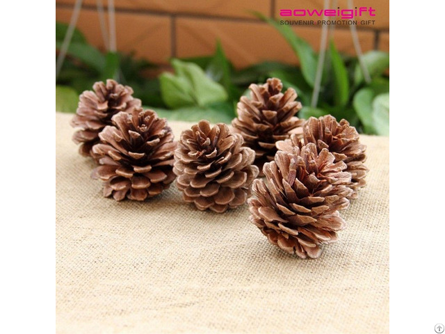 Wholesale Nature Pine Cone Accessories Photography Props Christmas Tree Decoration